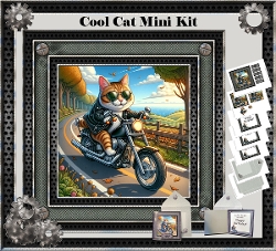 Cool Cat Mini Kit
