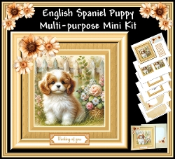 English Spaniel Puppy 6 x 6 Multi-Purpose Mini Kit