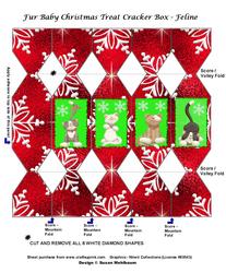 Fur Baby Christmas Cracker Treat Box - Feline