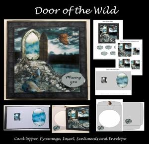 Door of the Wild