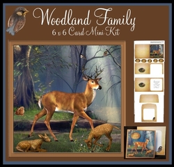 Woodland Family 6 x 6 Card and Envelope Mini Kit