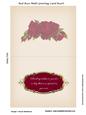 Red Rose Multi Occasion Card Insert