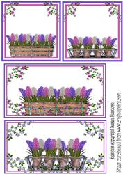 Flowersoft Toppers - Hyacinths