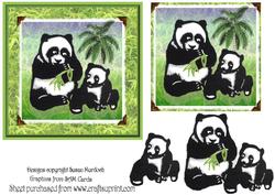 Pandas Step by Step Square Card