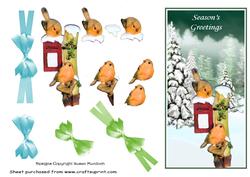Robins & Post Box for Christmas