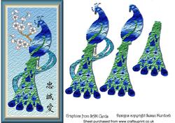 Peacock Oriental Tall, Slim Card