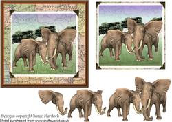 Elephants Step by Step Cards