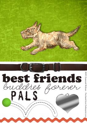 Dog-best-friend
