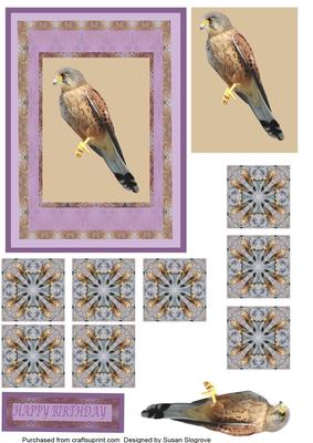 Kestral Decoupage with Teabag Tile