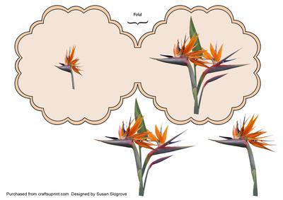 Bird of Paradise Scollope Decoupage Card