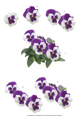 Deep Mauve Pansy Decoupage