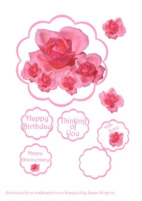 Scollope Summer Pink Rose