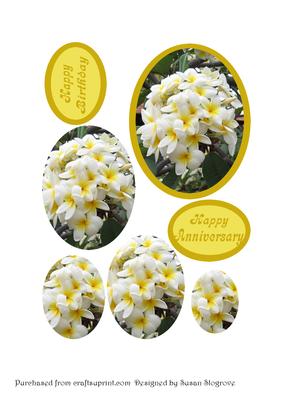 Frangipani Pyramage Oval