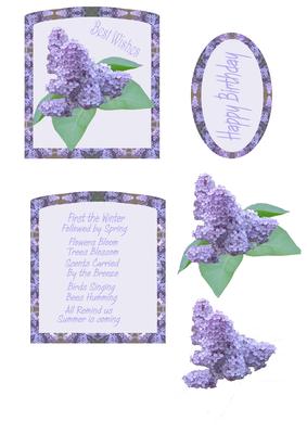 Lavender in the Garden