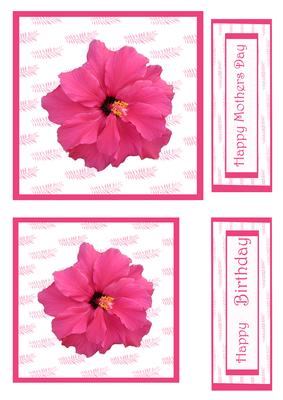 Pink Hibiscus Topper and Sentiments