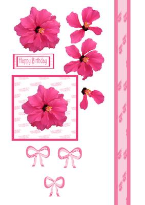 Bright Pink Hibiscus