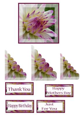 White and Lilac Flower Scollope Topper