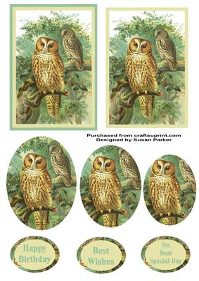 Tawny Owl Pyramid Topper