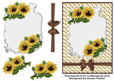 Sunflower Beauty