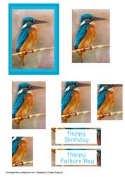 Kingfisher Rectagonal