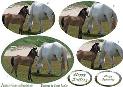 Mother and Baby Grazing