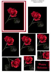 Valentine Single Rose