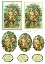 Tawny Owl Pyramid Topper