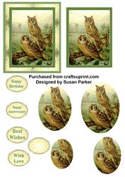 Long Eared Owl