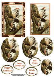 Woodpecker Step by Step