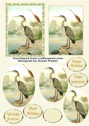 Heron on Watch