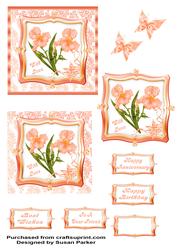 Peach Iris Framed