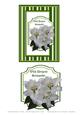 Sympathy Card Front and Topper