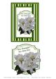 White Lilies Our Thoughts Are with You Card Topper