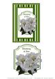 White Lilies Thinking of You Card Front and Topper