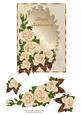 Elegant Anniversary Rose