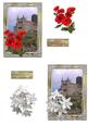 Framed Castle with Flowers Topper Ha