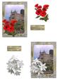 Framed Castle with Flowers Topper Blank