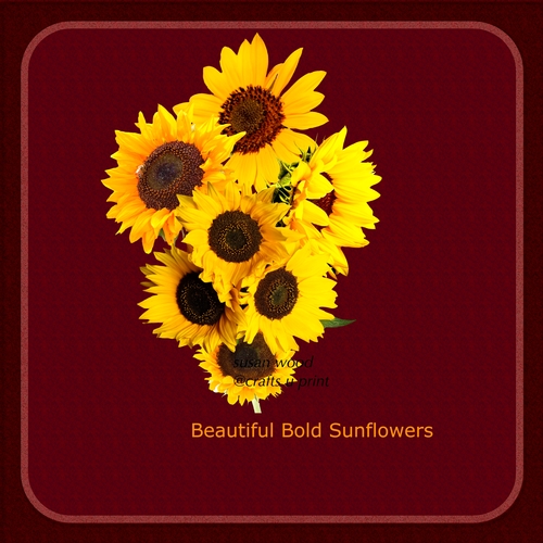 Bold Sunflowers
