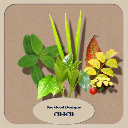 Cu4cu Vol4 Leaves Designer Resource