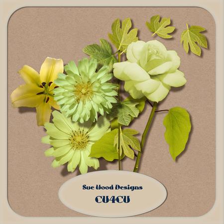 Vol5 Cu4cu Green Flowers Designer Resource