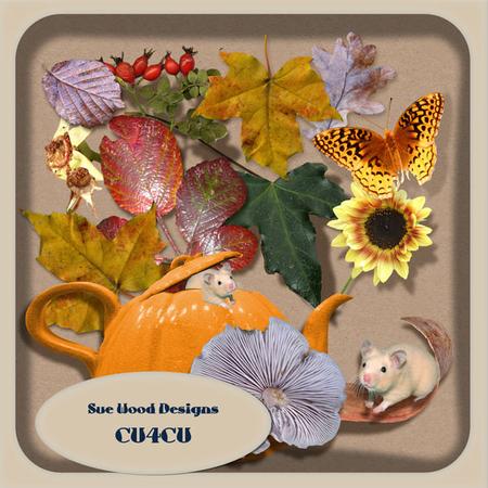 Vol6 Cu4cu Autumn Theme Designer Resource