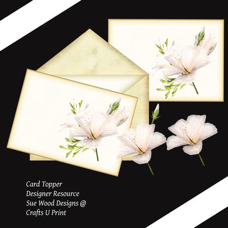 Magnolia Florals on Card Panel for Card Designers.