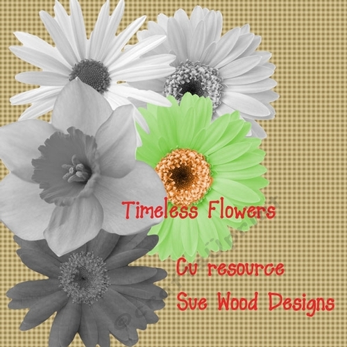 Timeless Flowers