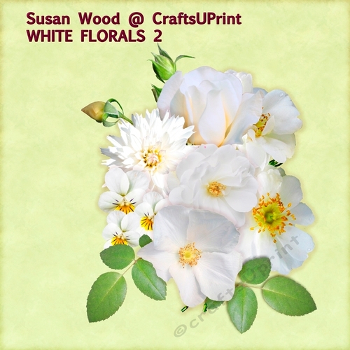 White Florals Pack2