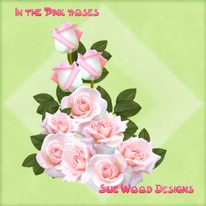 Pale Pink Roses Cuse