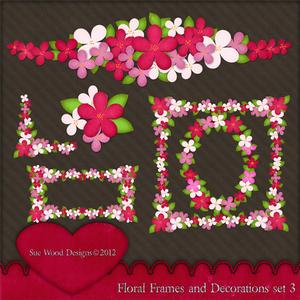 Floral Frames and Ornaments Reds