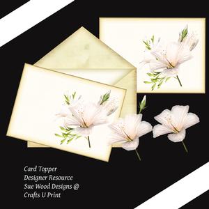 Magnolia Florals on Card Panel for Card Designers.