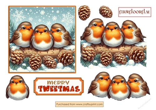 Merry Tweetmas Robins