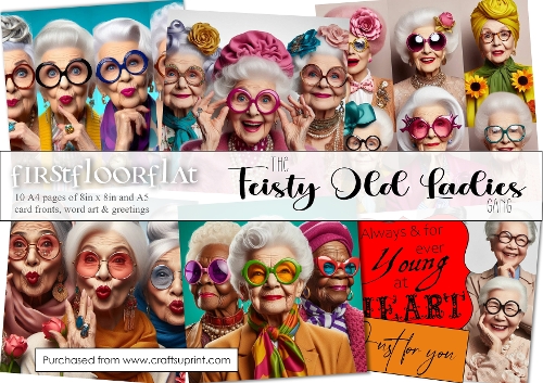 The Feisty Old Ladies Gang