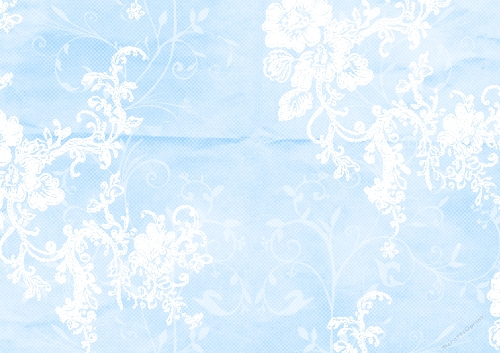 Floral Lace 05